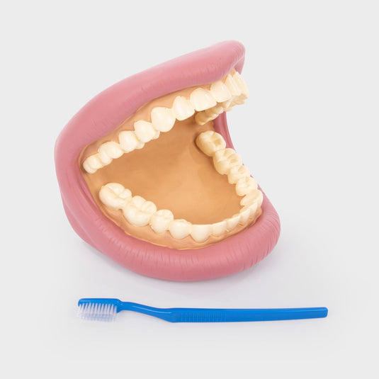 Tickit® giant teeth dental kit