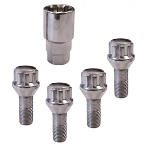 Carpoint anti-diefstalschroeven 0520501
