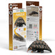 Eugy 3d puzzel - pangolin - wilde dieren - duurzaam - verzamel ze allemaal - 6 jaar