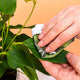 Kikkerland planten verzorgingskit van