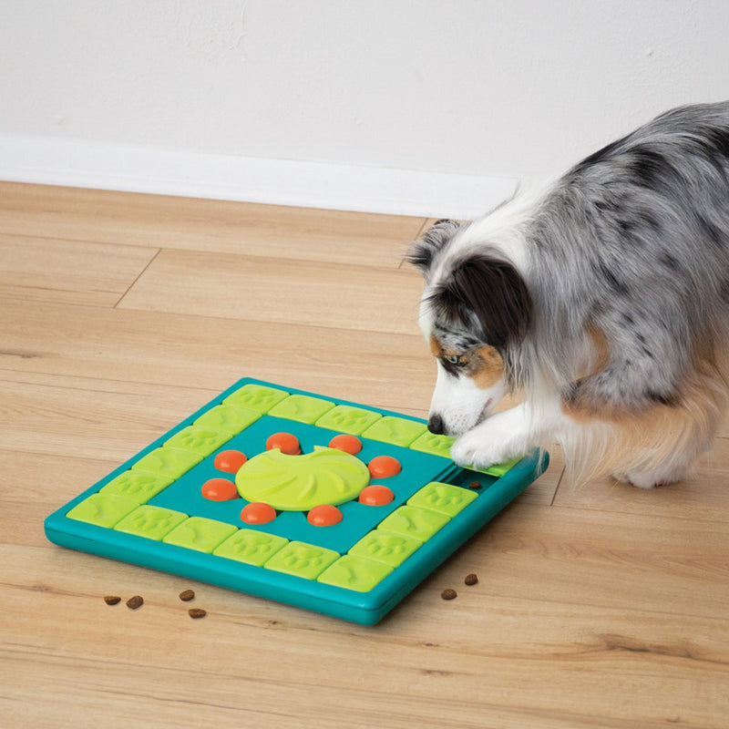 Load image into Gallery viewer, Nina ottosson multipuzzle blu
