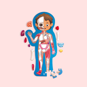 Hape mensenlichaam puzzel - 61-delig anatomie puzzel met 3d organen en poster, vanaf 3 jaar