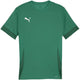 Puma teamgoal matchday jersey heren sportshirt - sport green- white-power green