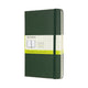 Moleskine classic notitieboek - large - hardcover - blanco - mirte groen