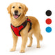 Flamingo harnas hond – honden tuigje – harnas hond anti trek – hondentuigjes – hondentuig anti trek – balou – rood – maat xl – a:46-76cm b:80-105cm