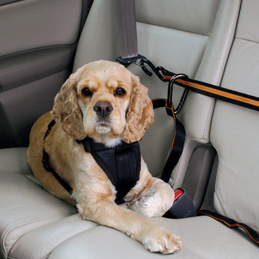 Kurgo - auto zip line for dogs - black orange