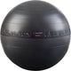 Pure2improve - fitnessbal - met oefeningen - 65 cm - inclusief handpomp
