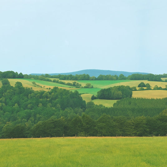 Auhagen achtergrond hintergrund wolkenstein erzgebirge 8 delig
