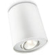 Philips led philips pillar opbouwspot - 1-lichts