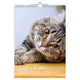 Comello cats verjaardagskalender - a4