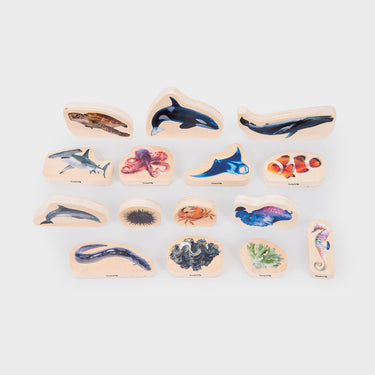 Tickit® houten zeelevenblokken