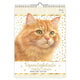 Franciens katten verjaardagskalender jeroen - a4