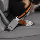 Kurgo dog seatbelt loop - veiligheidsriem met karabijnhaak - past aan elke autogordel - zwart grijs