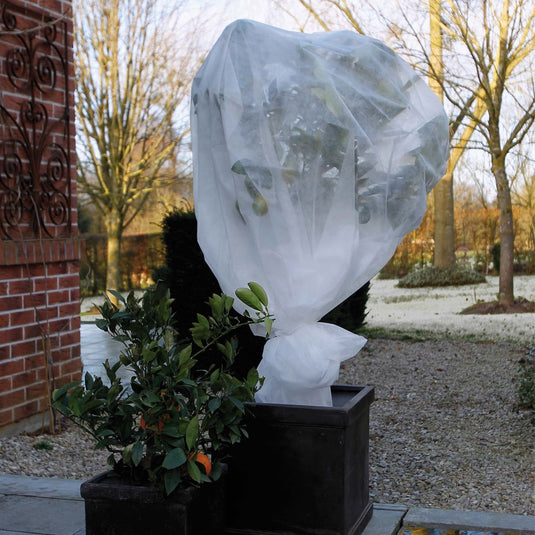 Nature - winterafdekvlies voor planten - 2 x 5m - 30 g m² - winterbescherming