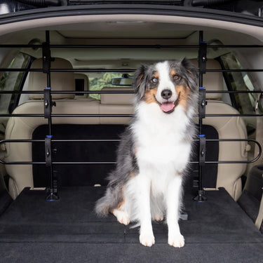 Petsafe happy ride metal dog barrier - veilig metalen frame voor de achterbak van de auto - geen gereedschap nodig - rammelvrij