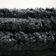 Sealskin essence - badmat 50x80 cm - katoen - antraciet