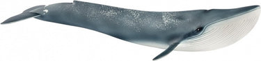 Schleich wild life - blauwe vinvis- speelfiguur - kinderspeelgoed voor jongens en meisjes - 3 tot 8 jaar - 14806