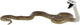 Bullyland 68487 – speelfiguur en verzamelfiguur zwarte mamba – ca. 10 cm – levensecht en detailrijk vormgegeven – ideaal als educatief speelfiguur en klein cadeautje voor kinderen vanaf 3 jaar.