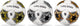 Mondo voetbal legend, 21,5cm