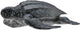 Collecta figurine - lederschildpad - (m) - zeedieren - handgeschilderd - miniatuur