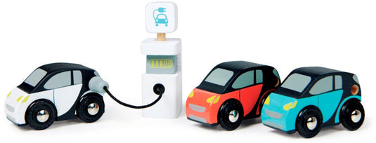 Tender leaf - eco auto's + oplaadpunt