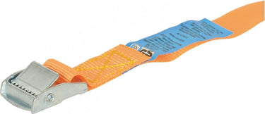 Carpoint spanband met gesp 25mm x 3 meter 250kg - oranje