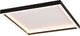 Rl live your light reality rotonda - plafondlamp - zwart mat - incl. 1x smd 20 w - wand- en plafondmontage