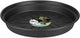 Elho green basics schotel 29 - schotel voor binnen en buiten - kweken en oogsten - ø 29.3 x h 4.2 cm - living black