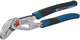 Bosch waterpomptang 250 mm - 1600a02w3n