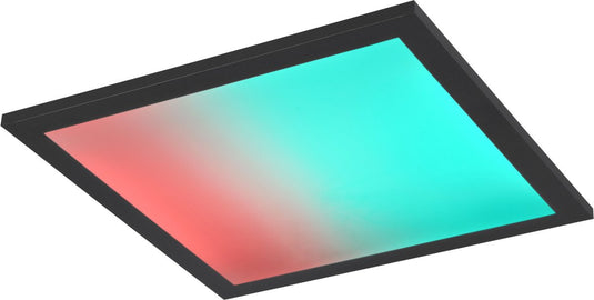Rl live your light reality beta - plafondlamp - zwart mat - incl. 1x smd 13w - geintegreerde dimmer - afstandsbediening