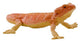 Mojo wildlife baardagaam - 381096