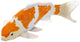 Mojo sealife koi karper - ochiba shigure koi - 381104