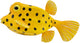 Collecta figurine - gele koffervis - (s) - zeedieren - handgeschilderd - miniatuur