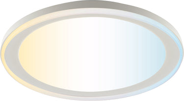 Brilliant pederson - plafondlamp - led 10w - cct - 3000k-6500k - dimbaar - nachtlicht - timer - afstandsbediening - wit