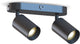 Calex plafondlamp - 2-lichts - opbouwspot - ovaal - zwart - goud