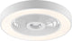 Brilliant catania - plafondventilator - led 40w - cct - 2700k-6500k - dimbaar - icrgb - nachtlicht - timer - afstandsbieding - wit