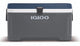 Igloo - maxcold 70 - passieve koelbox - 67 liter - grijs