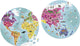 Janod - puzzel - de wereld - rond