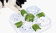 Catit - speelgoed voor dieren - kat - ca play snoepjespuzzel 40x40x9cm - 1st