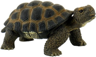 Bullyland 63553 – speelfiguur en verzamelfiguur schildpad – ca. 5 cm – levensecht en detailrijk vormgegeven – ideaal als educatief speelfiguur, taartdecoratie of klein cadeautje voor kinderen vanaf 3 jaar.