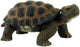 Bullyland 63553 – speelfiguur en verzamelfiguur schildpad – ca. 5 cm – levensecht en detailrijk vormgegeven – ideaal als educatief speelfiguur, taartdecoratie of klein cadeautje voor kinderen vanaf 3 jaar.