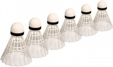 Badminton shuttles, 5dlg