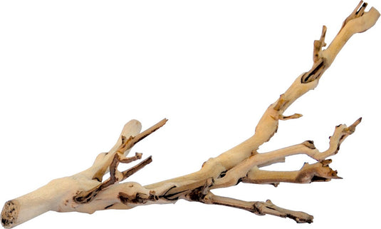 Exo terra - natuurlijke decoratie - reptielen - ex forest branch l 60cm - 1st