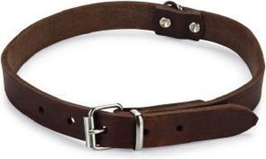 Beeztees - halsband hond - leer - bruin - 43-52 cm x 20 mm one size