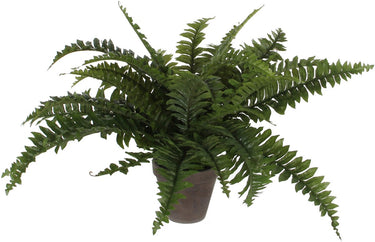 Mica decorations varen kunstplant - groen - in terracotta pot - h42 cm - nep plant - kunstplanten nepplanten