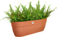 Elho vibia campana easy hanger xl 58 - plantenbak voor balkon - balkonbak - 100% gerecycled plastic - l56 x b26.8 x h23.7 cm - terra