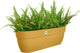 Elho vibia campana easy hanger xl 58 - plantenbak voor balkon - balkonbak - 100% gerecycled plastic - l56 x b26.8 x h23.7 cm - honinggeel