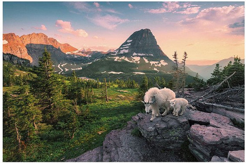 Load image into Gallery viewer, Ravensburger puzzel alpine geit met jong - legpuzzel - 3000 stukjes
