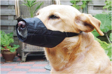 Beeztees veiligheid muilband nylon xl - 24 cm - muilkorf hond - normaal - zwart