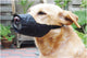 Beeztees veiligheid muilband nylon xl - 24 cm - muilkorf hond - normaal - zwart